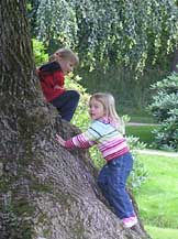 Cecilie und Anna-Lena auf Riesenbaum