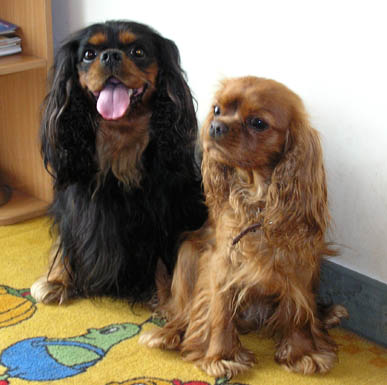 Lilly und Hauptmann