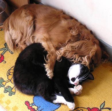 Nehle und Garret  *g ... ok falsches Bild: