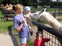 Konrad und Anna-Lena füttern Lamas