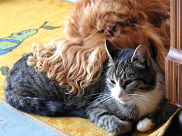 Lilli und Garret Lilli und Garret
