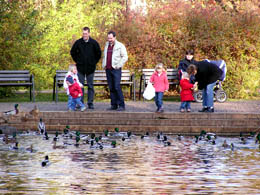 Am Schwanenteich im Kurpark Heiligenstadt Am Schwanenteich im Kurpark Heiligenstadt