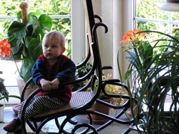 Konrad auf Chef - Schaukelstuhl im Blumenerker