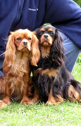 Maggie und Kamee