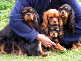 Kamee, Maggie und Hauptmann und die kleine Sylka