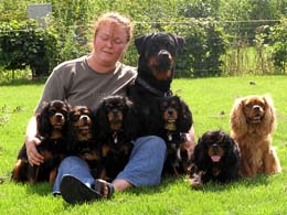 Anja mit (allen!!) Hunden