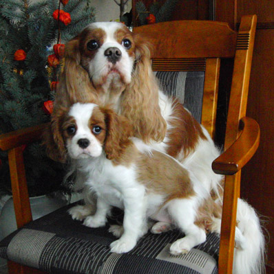 Lancaster und Isabella Lancaster & Isabella