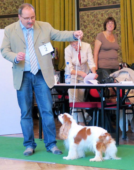 Clubsiegerschau 2015