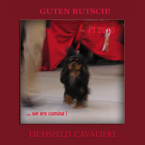 Guten Rutsch!