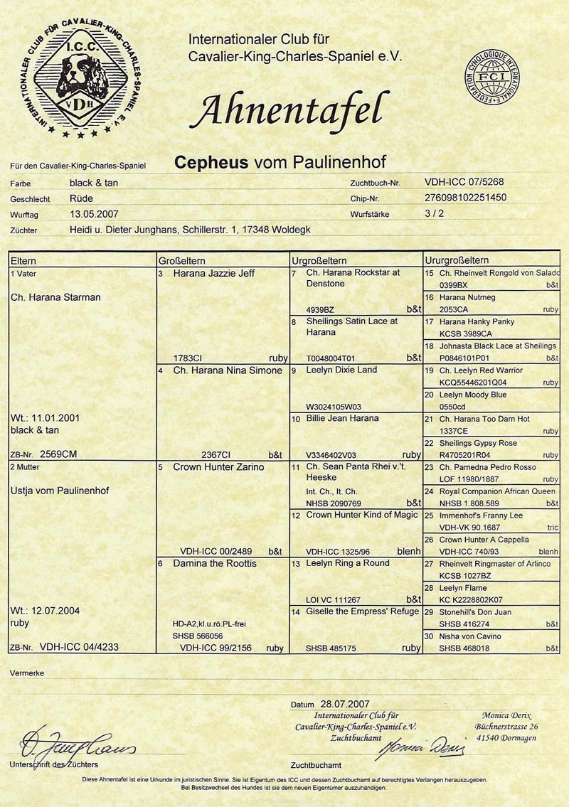 Ahnentafel Cepheus