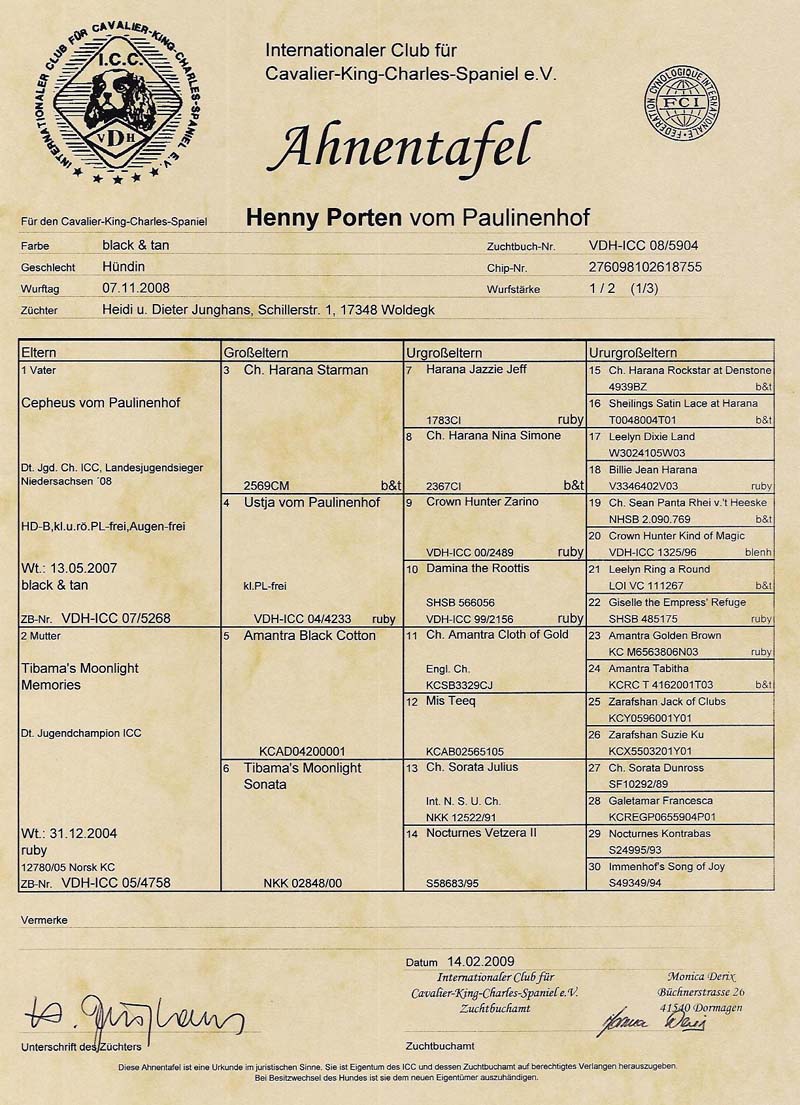 Ahnentafel Henny