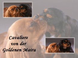 von der goldenen Maira