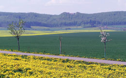 Blick auf den Dün